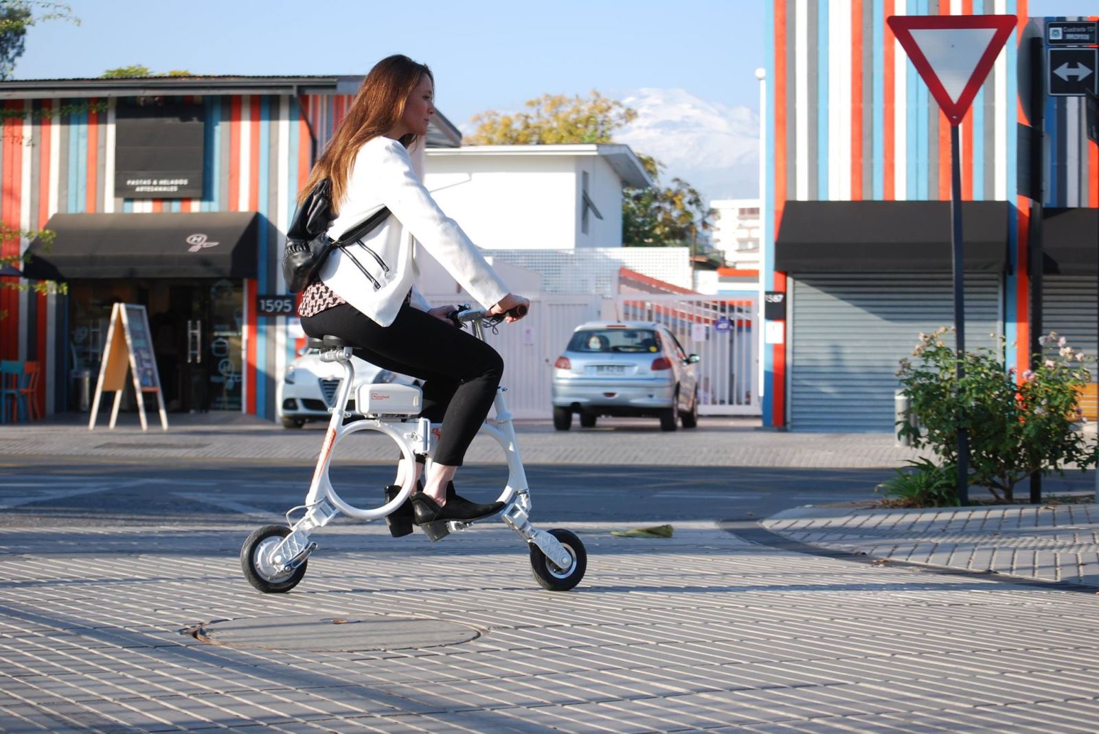 Smart Electric Bike