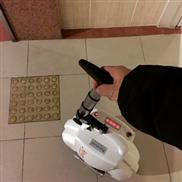 Airwheel, 화성차, 듀얼휠균형차