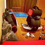 Airwheel, دراجة التوازن الذاتي, Q1 سكوتر كهربائي متوازن ذاتيا