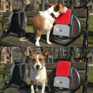 Airwheel, eléctrico monociclo, scooters eléctricos, scooter