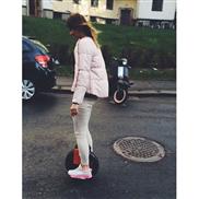 электрическая одно колесо