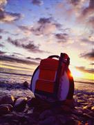 selbststabilisierendes Einrad