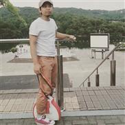 Elettrico Auto-bilanciamento Monociclo