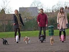 S3 elektrisches einrad