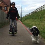 электрический скутер