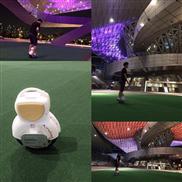 Q1 scooter elettrico