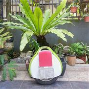 자이로스코프 X6